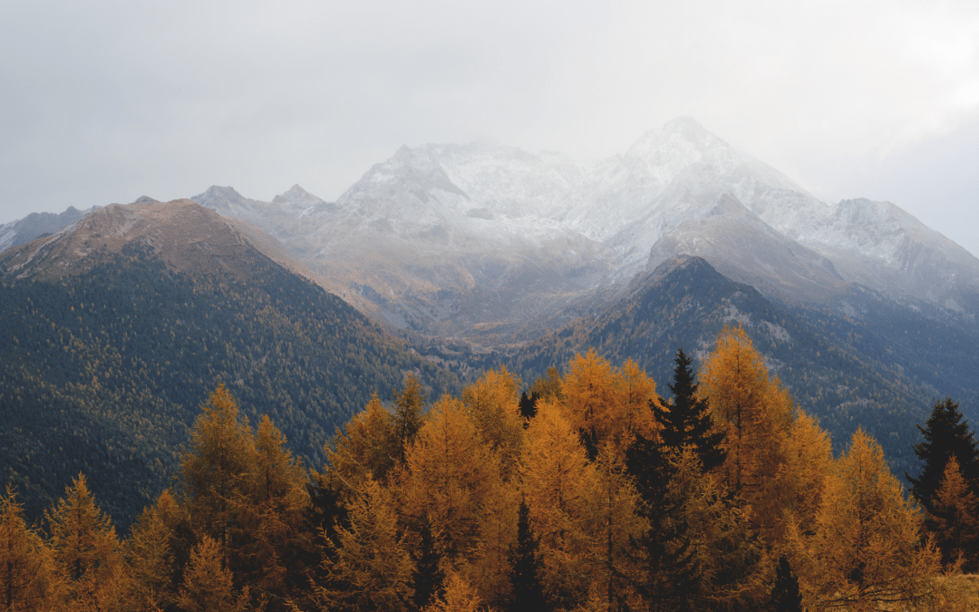 Transitions into an Autumn Yoga Practice